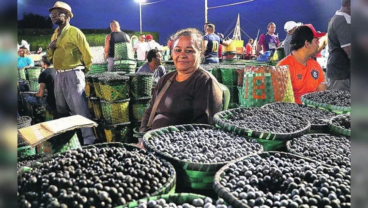 Alta histórica do preço do açaí em Belém do Pará prejudica diretamente paraenses que têm o fruto como alimento essencial em suas refeições diárias