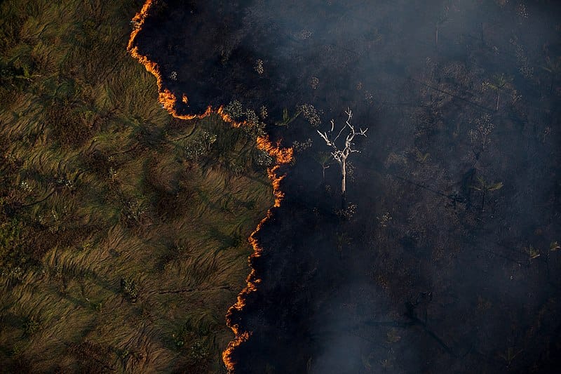 Brasil em chamas: 23% do país queimou nos últimos 39 anos