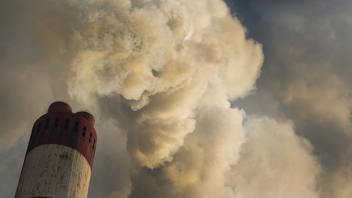 'Revolução ou extinção' (Matheus Schiffer)