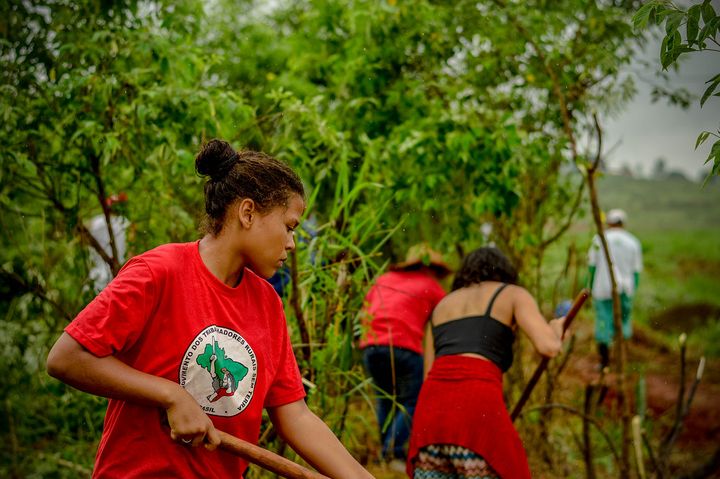 'Ecologia na estratégia' (Isadora Maria)