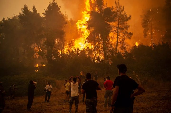 'Greve pelo clima e contra o capital! Revolução para evitar a extinção!' (Mh e Zenem Sanchez)