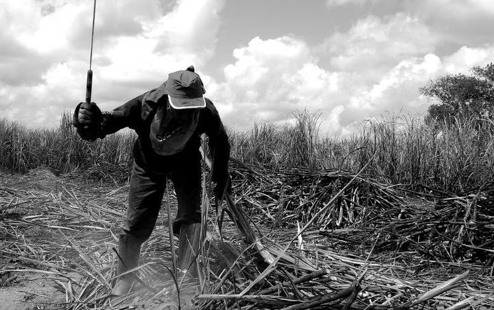'Qual o papel dos comunistas na luta pela terra e por território e por que nos recusamos a assumi-lo' (Veva)