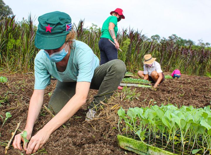 'A subestimação do interior brasileiro' (Contribuição anônima)