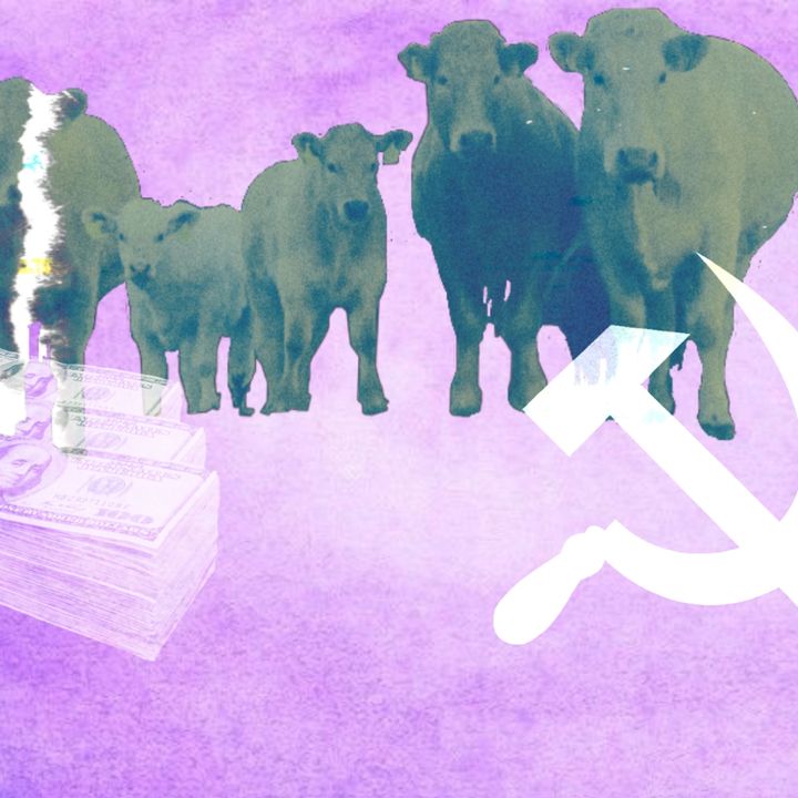 'Veganismo e Comunismo são contraditórios?' (Camarada Rosa)