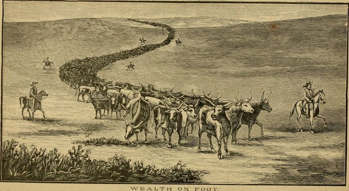 'Veganos comunistas do Brasil, uni-vos!!' (Marião)