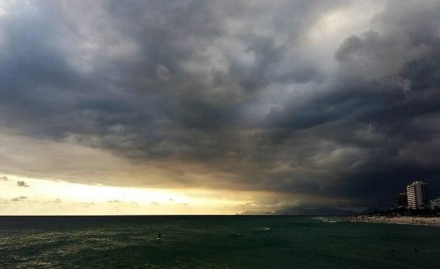 'As tarefas dos comunistas quanto à questão ambiental' (Jaqueline Tavares)