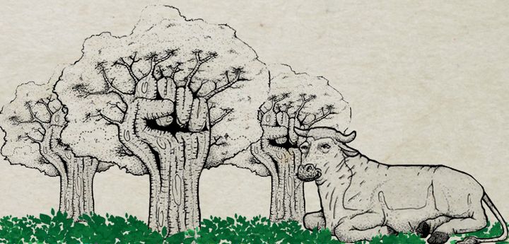 'Se a cooptação liberal das lutas anti-opressão não nos afasta delas, por que nos afasta do veganismo?' (Maria Fernanda Moneda)