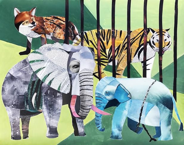 'Causa animal: Uma nova pauta para um novo partido' (Contribuição anônima)