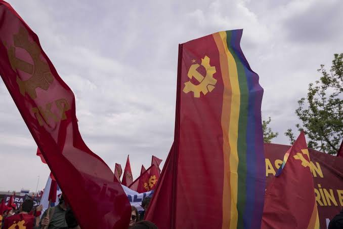 'A questão LGBTIA+ nas pré-teses: uma proposta de alteração' (Thali)