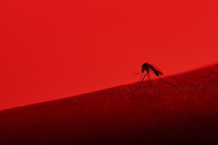 Surto de dengue se torna epidemia em meio um sistema que preconiza o lucro sobre a saúde