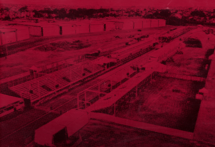 Nota Política (RS): AUXÍLIO EMERGENCIAL E MORADIA DIGNA: NÃO AO PORTO SECO