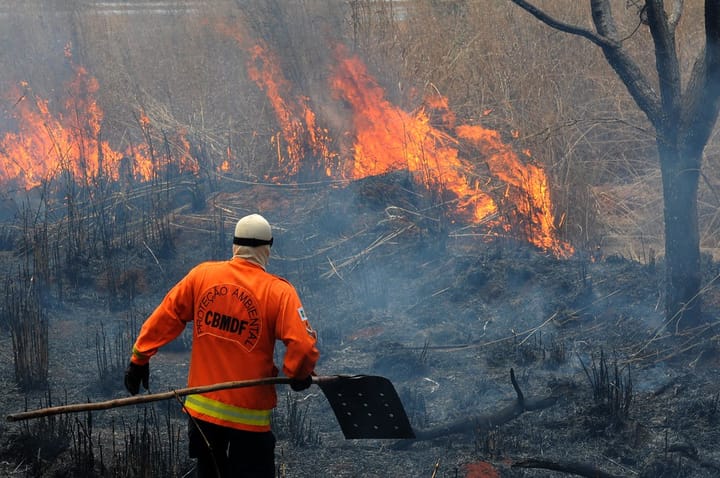 Queimadas sem freio: impunidade joga lenha na fogueira da destruição ambiental