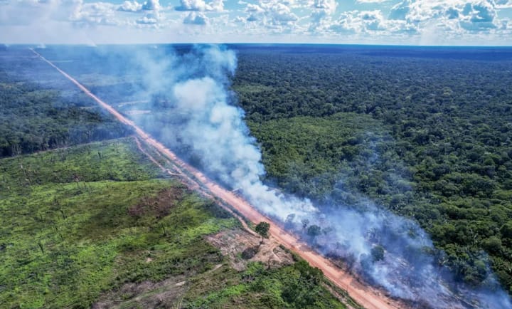 BR 319: Latifundiários incendeiam a Amazônia e Governo Federal joga a gasolina