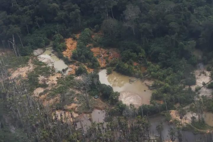 População amazônica sofre sob o cerco do latifúndio, garimpo e tráfico